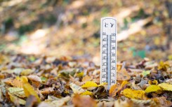 Thermometer with autumn leaves. GettyImages/BeritK