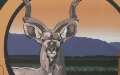 Kirkwood festival.JPG