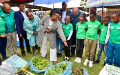 Gauteng MEC for Agriculture and Rural Development - Vuyiswa Ramokgopa