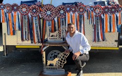 Boerboel of the year 2025