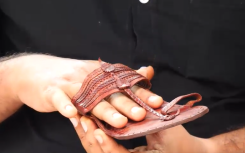 Sandal scandal Mumbai.png