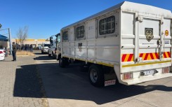 Immigration operation in West Rand / eNCA reporter Heidi Giokos