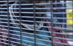 Alleged illegal Barberton Miner Sheba Mine