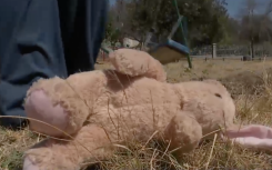A teddy bear lying in a field.