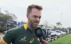 Springbok fan