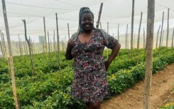 Today, on her 36-hectare Ndhima Farm Holdings in Tzaneen, Limpopo, Kuhlula grows mangoes, oranges, macadamia nuts, tomatoes, and green peppers /Kuhlula Ndhima Facebook 