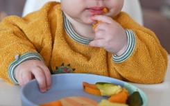 File: A baby sits at the table and reaches for different pieces of vegetables on a plate. Elisa Schu/dpa Picture-Alliance via AFP