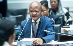 Police Minister Senzo Mchunu at the Parliamentary Ad Hoc Committee inquiry. Brenton Geach/Gallo Images via Getty Images