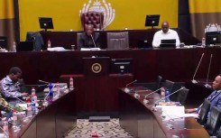 SAPS ad hoc committee