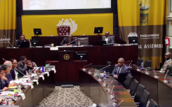 SAPS ad hoc committee