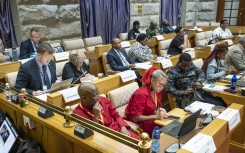 Members of Parliament at the Parliamentary Ad Hoc Committee inquiry into alleged corruption and political interference in the criminal justice system. Gallo Images/Brenton Geach