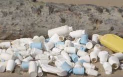 Bottles seen on the beach in East London.