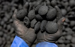 A worker holds coal pebbles in his hands. AFP/Joris Bolomey