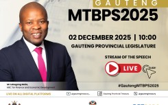 Gauteng 2025 Medium Term Budget