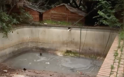 What's left of the swimming pool.