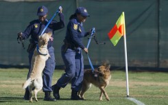 File: Police officers use trained dogs to check a field. AFP/Omar Torres