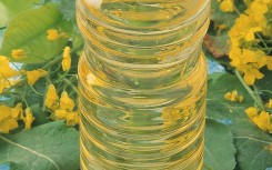 Beijing is expected to reduce tariffs on Canadian canola imports. Chassenet/BSIP via AFP