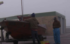 Shellfish unsafe for consumption