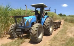 KZN farmers depend on collapsing Tongaat Hulett