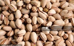 Raw, organic pistachios. Romain Doucelin/NurPhoto via AFP