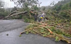 Maatskaplike werker dood Knysna