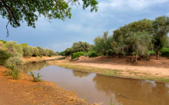 Luvuvhu River, Kruger National Park, Limpopo | Credit: John Bryant, Gallo Images