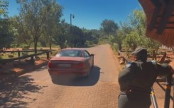 ANParks is searching for a driver of a Mercedes-Benz SL500 after he went viral on social media for recklessly driving in the Kruger National Park. Screenshot/Jvr TikTok