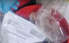 Soweto Human Organs