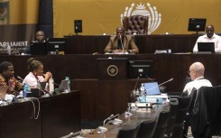 MPs seen at the SAPS Parliamentary Ad Hoc Committee inquiry. Gallo Images/Brenton Geach