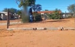 A Western Cape man pleaded guilty to animal cruelty after a video surfaced of him tying his dog, Lion, to a tree and hanging him.