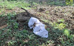  Police are combing an active crime scene in Atteridgeville, searching for a suspect accused of kidnapping a child reportedly raping the mother.