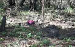  Police are combing an active crime scene in Atteridgeville, searching for a suspect accused of kidnapping a child reportedly raping the mother.