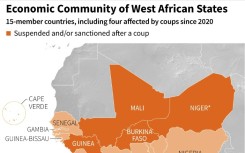 Supporters of Niger's ruling junta gathered in Niamey 