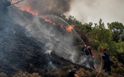 Much of Europe has been hit by a heatwave and wildfires