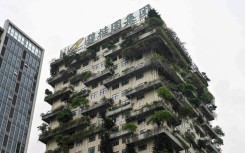 Country Garden has long been deemed financially solid but was unable last Monday to make two bond payments