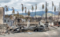 Burned palm trees and destroyed cars and buildings in the aftermath of a wildfire in Lahaina