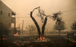 Extreme heat has dominated the headlines in recent weeks 