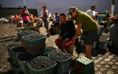 The Acai Market on the shores of the Guajara Bay in Belem, Para state, Brazil 