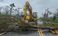 Typhoon Haikui toppled hundreds of trees as it crossed Taiwan