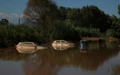 Inspection crews are still unable to access half the areas with reported dead livestock, says the agriculture ministry