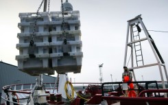 Delays to UK exports have caused the prices of some white fish to drop