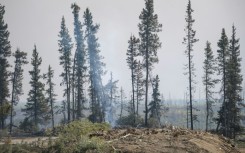 Canada's fires were fueled by drier and hotter conditions caused by climate change -- and by releasing greenhouse gasses into the atmosphere, these fires in turn contribute to global warming