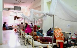 Patients receive treatment for dengue fever in Dhaka's Shaheed Suhrawardy Medical College Hospital. More than 1,000 people have died this year in Bangladesh's worst outbreak of the mosquito-borne disease