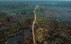Burnt trees after illegal fires were lit by farmers in Manaquiri, Amazonas state, on September 6, 2023