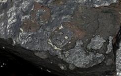 Some of the ancient rock carvings show faces that appear to express emotion 