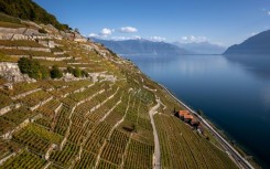 The Lavaux terraced vineyards above Lake Geneva are a UNESCO world heritage site