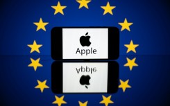 The EU claimed Apple parked untaxed revenue earned in Europe, Africa, the Middle East and India in Ireland