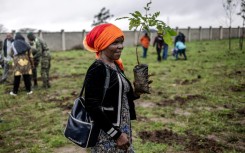 Kenyans took part in a national treeplanting day to try to boost the country's forest cover