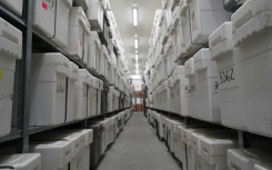 The repository is one of the biggest in the world, with 40,000 blocks of ice stacked on long rows of shelves in large boxes