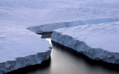 A chunk of Antarctic ice the size of 
France and Germany combined has disappeared this year